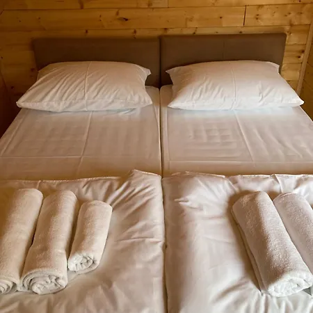 Fruskogorske Loncar Villa *