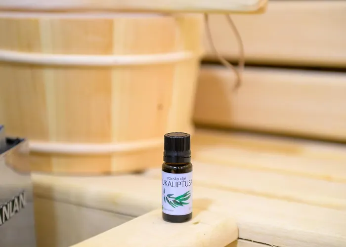 Fruskogorske Loncar Villa *