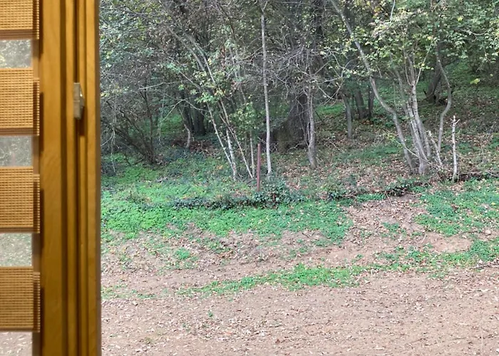 Fruskogorske Loncar Villa