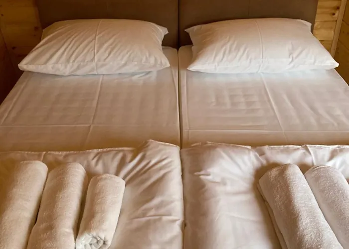 Fruskogorske Loncar Villa *