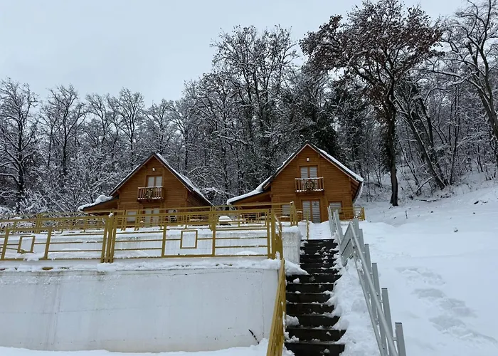 Fruskogorske Loncar Villa